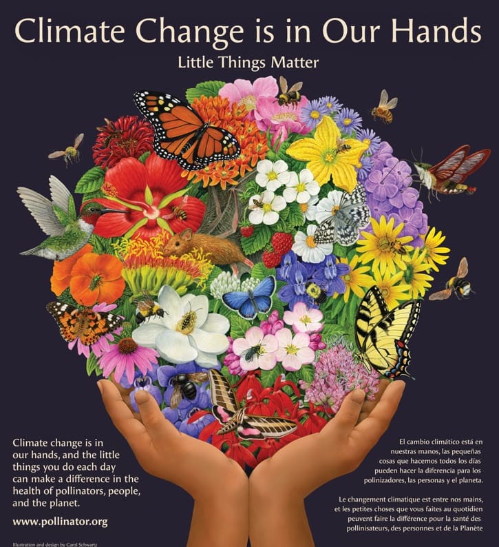 Climate-Change-The-Little-Things-Poster-image-2023